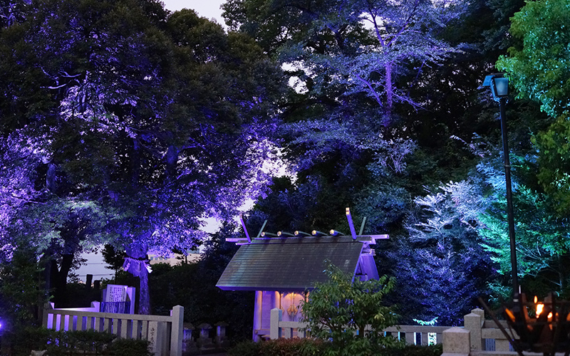 ライトアップする西宮恵比須神社